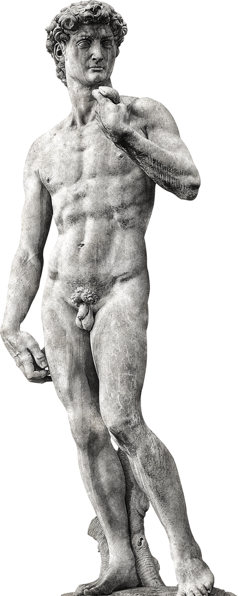 View of the David of Michelangelo Isolated